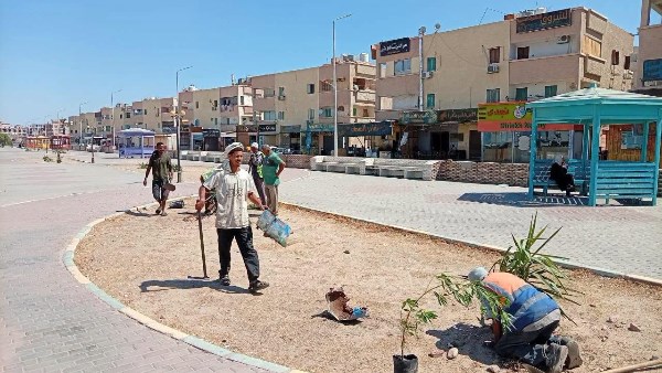 رئيس مدينة سفاجا يتابع زراعة 75 شجرة ظل ضمن خطة التوسع في المساحات الخضراء
