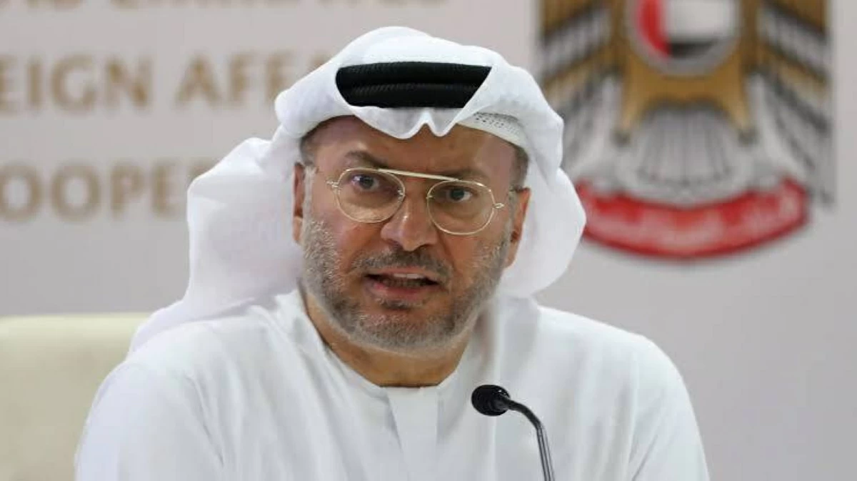 قرقاش: محمد بن زايد يدير إحدى أصعب الأزمات ببراعة رائعة  (فيديو)