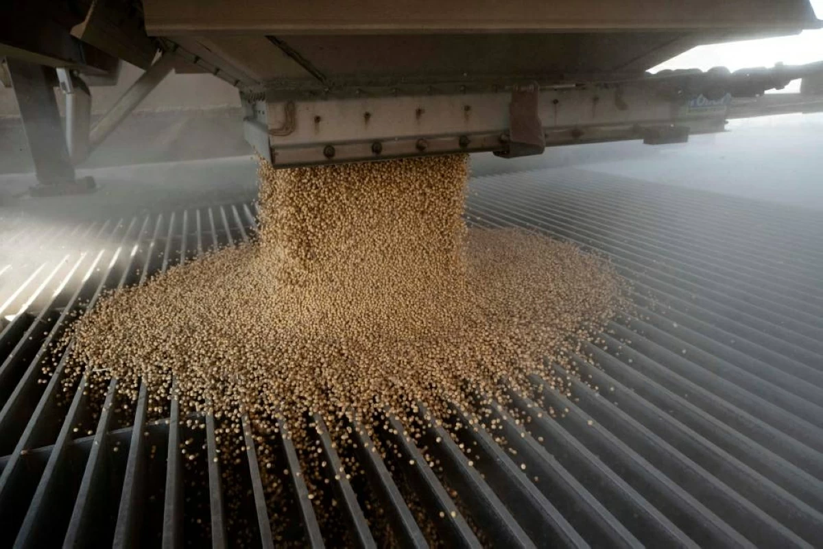 خيبة أملها لاستبعاد الصويا من قائمة خفض الرسوم المتبادلة بين الصين وأمريكا