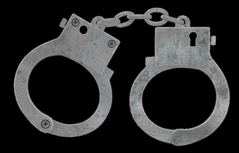Dubai court jails motorist for driving without licence and using vehicle without owner’s consent