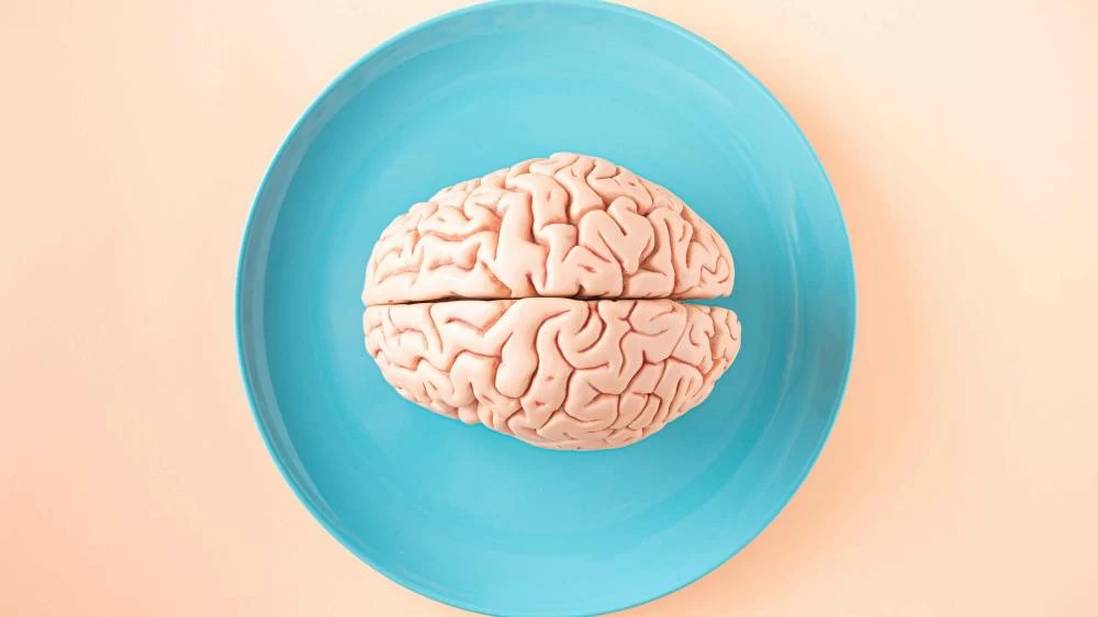 Gene activity in brain reveals clues to Alzheimer’s, Parkinson’s and schizophrenia