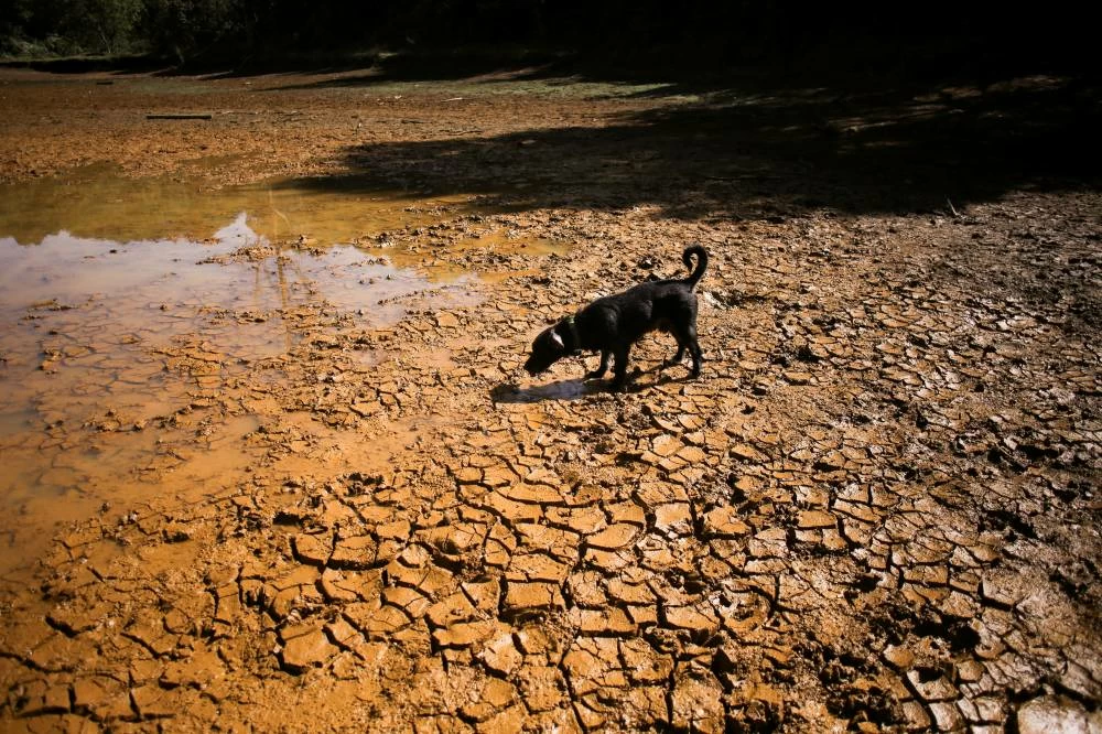 ‘Super El Niño’ explained and how it will affect the weather