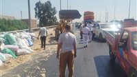 انقلاب حمولة سيارة «جامبو» أعلى كوبري قها بطريق القاهرة–الإسكندرية الزراعي دون إصابات