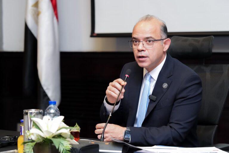 Egypt to restructure Sovereign Fund’s role to attract private investment: Minister