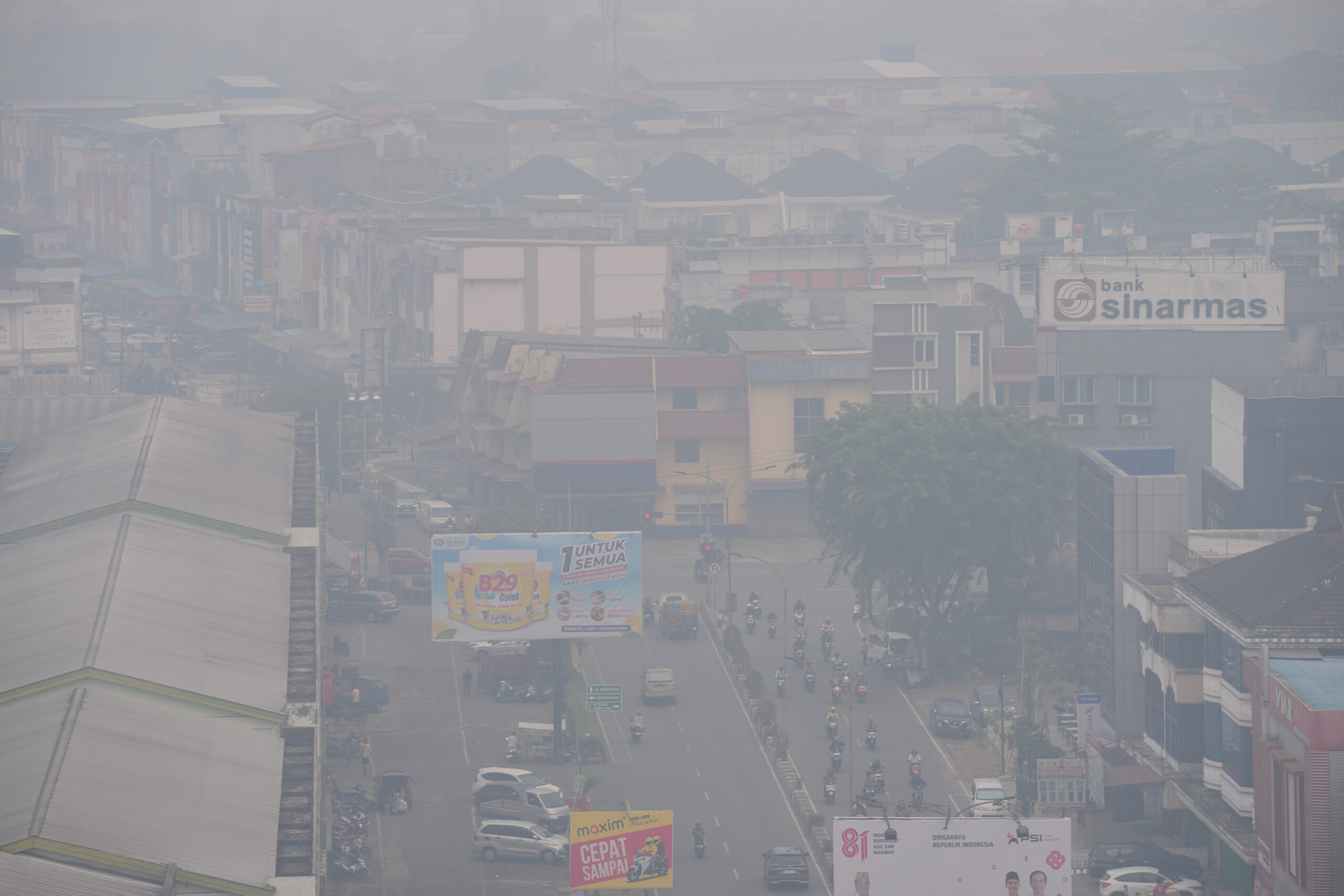 ‘Gift from God’: Rain brings relief from Indonesia toxic haze