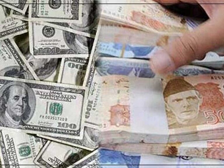 Pakistan launches investor portal to track e-requests
