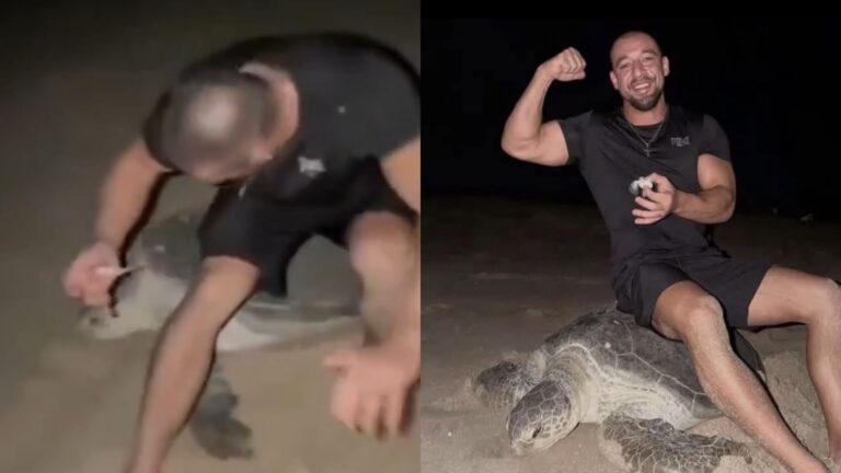 Influencer Vadym Oleynik abuses turtle on video in Oman