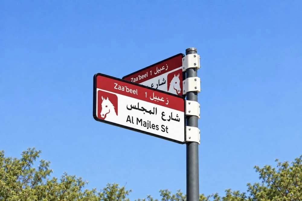 Dubai’s new colour-coded street signs across 186 areas: Where will the changes begin?