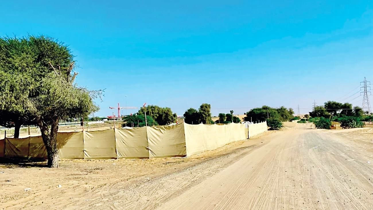 Umm Al Quwain winter camping permits 2026-27: Applications open October 19-30
