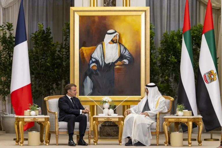 UAE and French Presidents discuss cooperation and regional developments