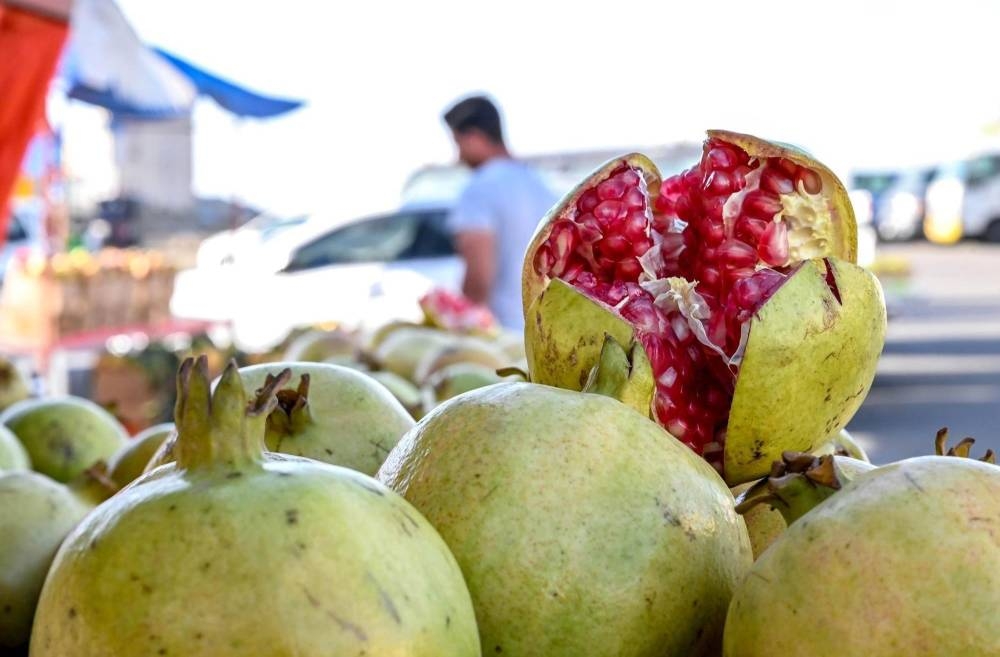 القلب الأسود والحفار يهاجمان حبات الرمان