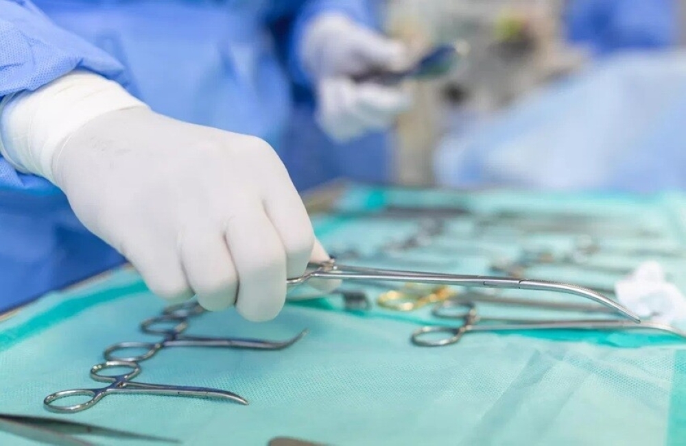 قلوب الحيوانات تنبض داخل البشر