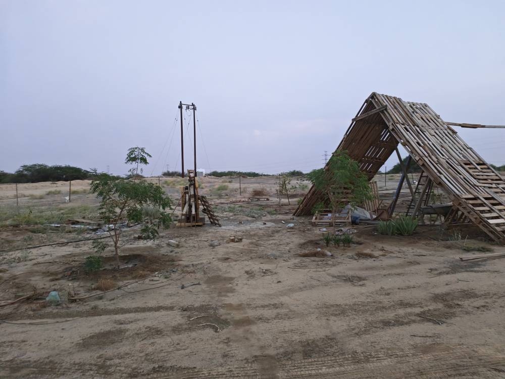 من إدارة المستشفى إلى نحت الديناصورات