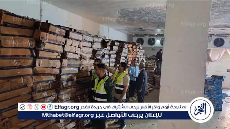 قبل انطلاق مولد السيد البدوي.. ضبط 41 طن هارنج منتهي الصلاحية بالغربية