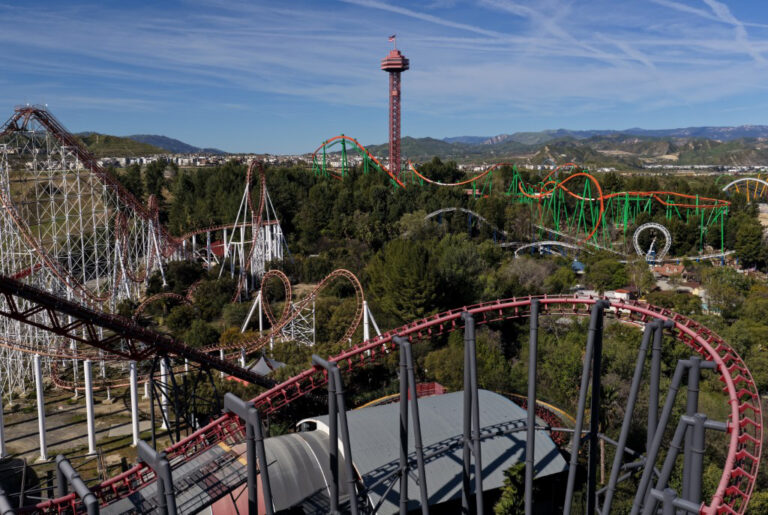 California roller coaster shut after brain damage claims