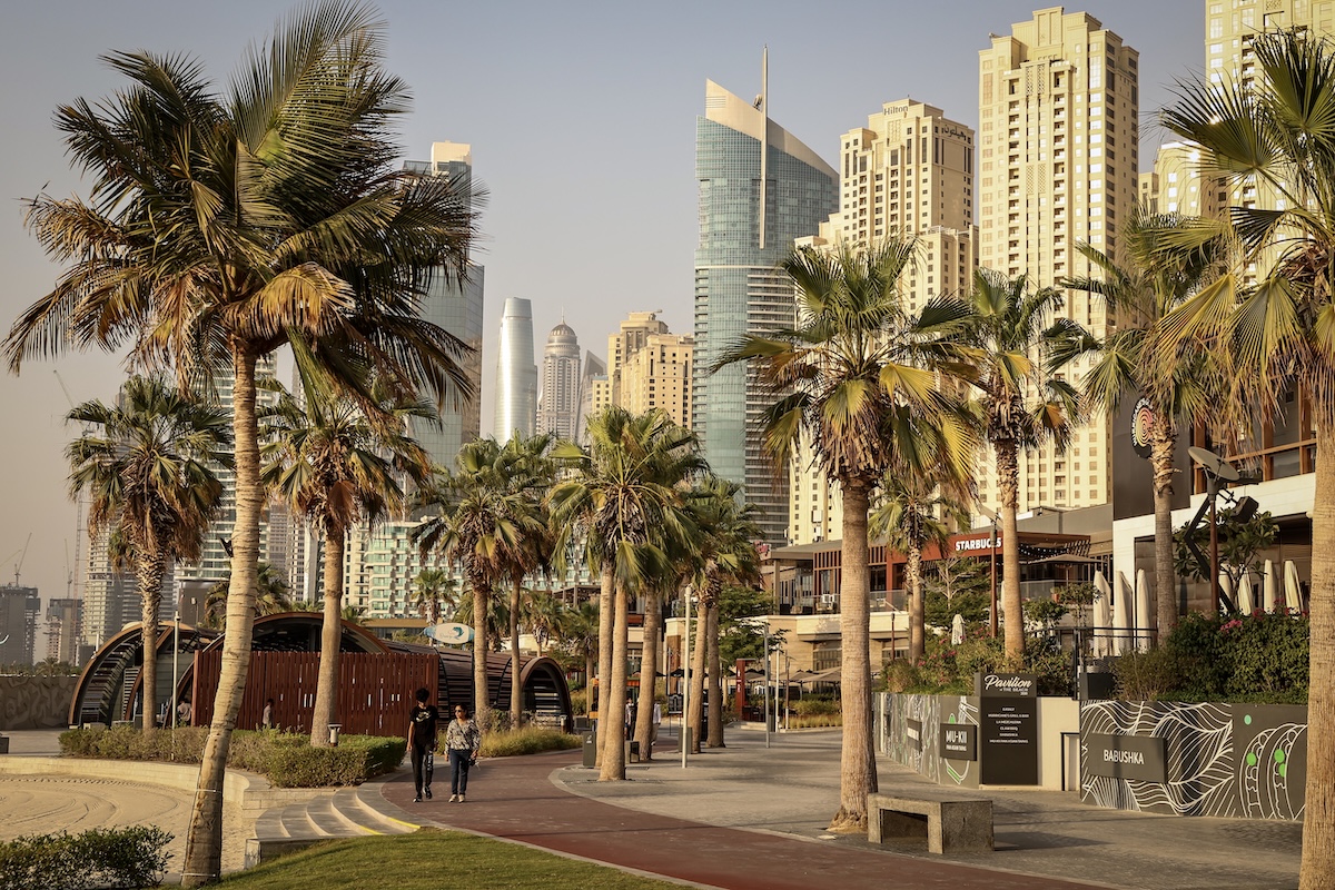 As Arab cities face rising temperatures, the answer may lie in less concrete and more plants