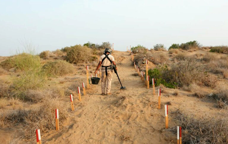 Saudi project clears 1,256 mines in Yemen