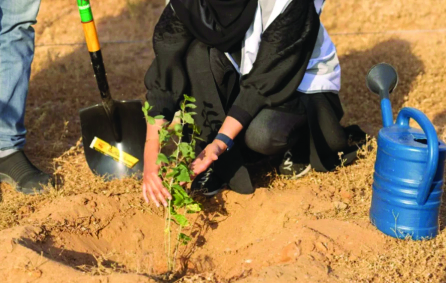 Kingdom launches National Greening Season to expand vegetation cover