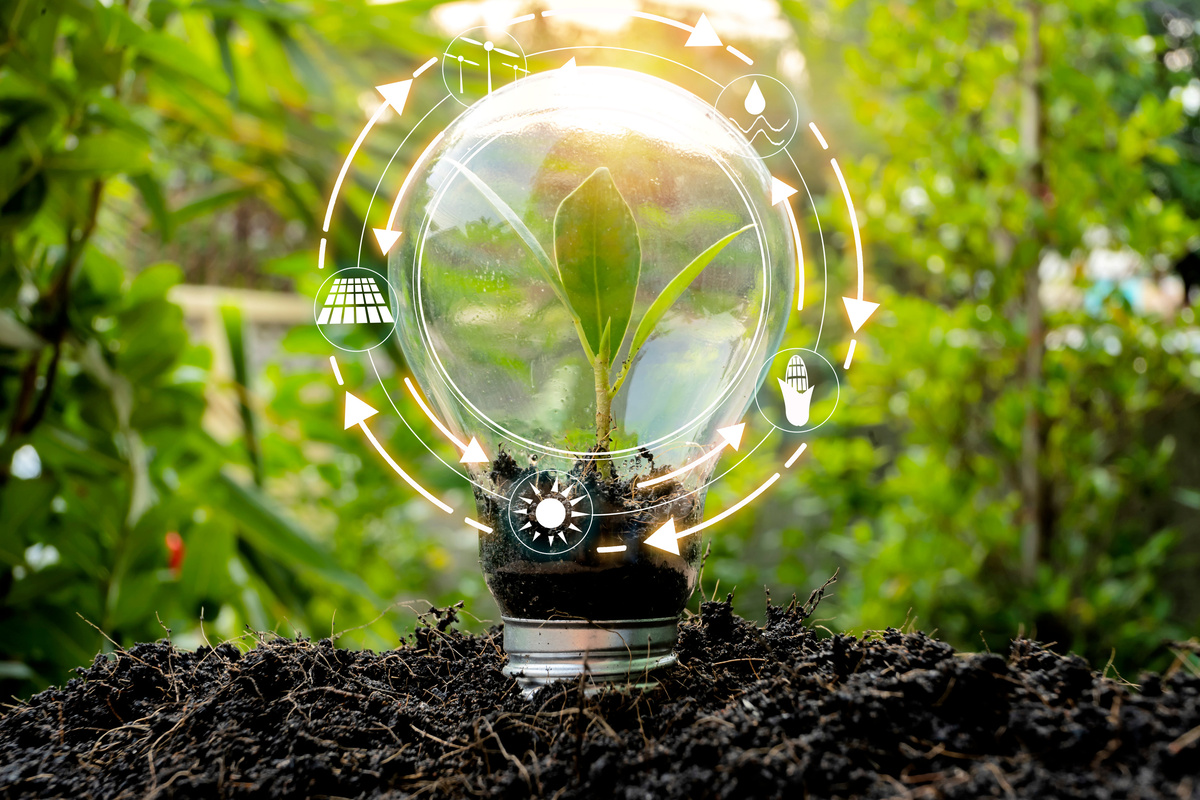 When energy efficiency becomes a sovereign decision