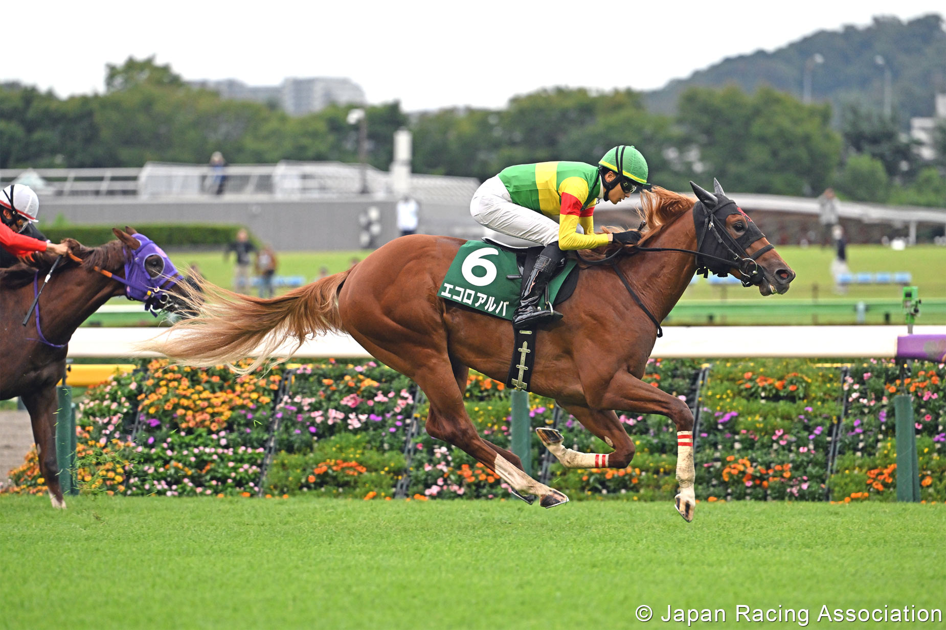 KSA and Japan continue close racing partnership with 2026 Saudi Arabia Royal Cup in Tokyo