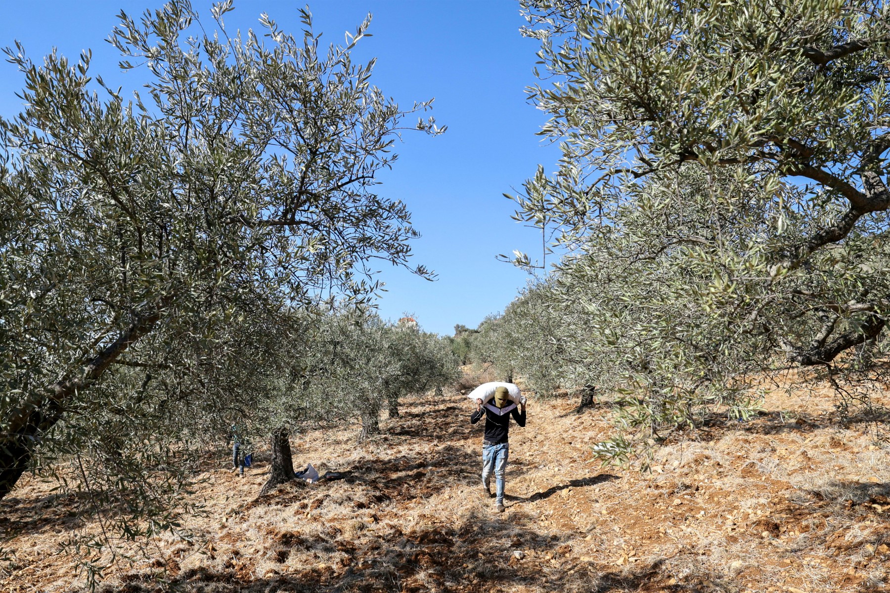 2 killed near Israeli-occupied zone in south Lebanon: official media