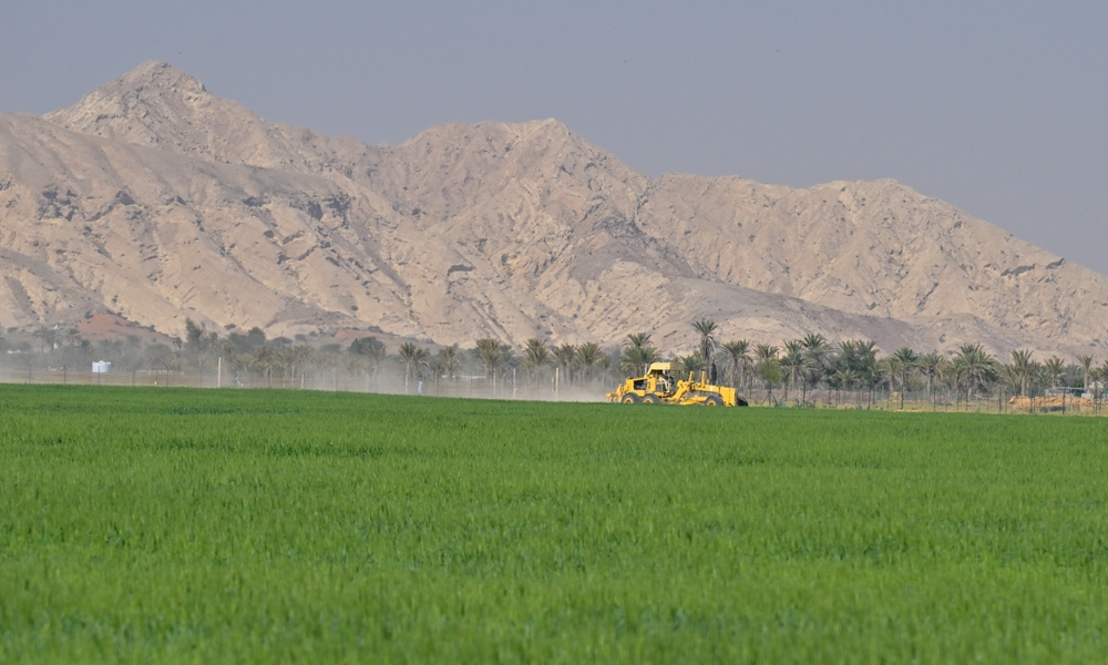 SALIC transfers ownership of National Grain Co. to SABIL, strengthening the Kingdom’s feed system