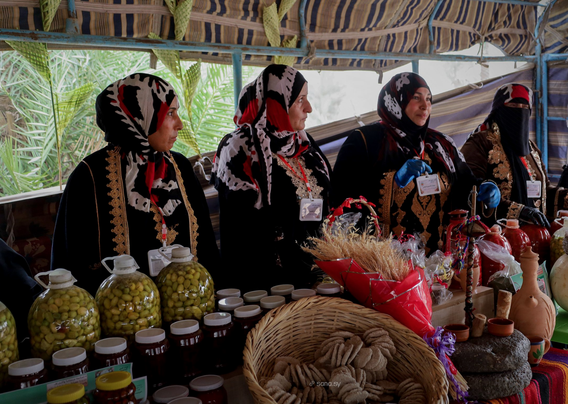 Syria seeks to revive date palm cultivation in Deir Ezzor