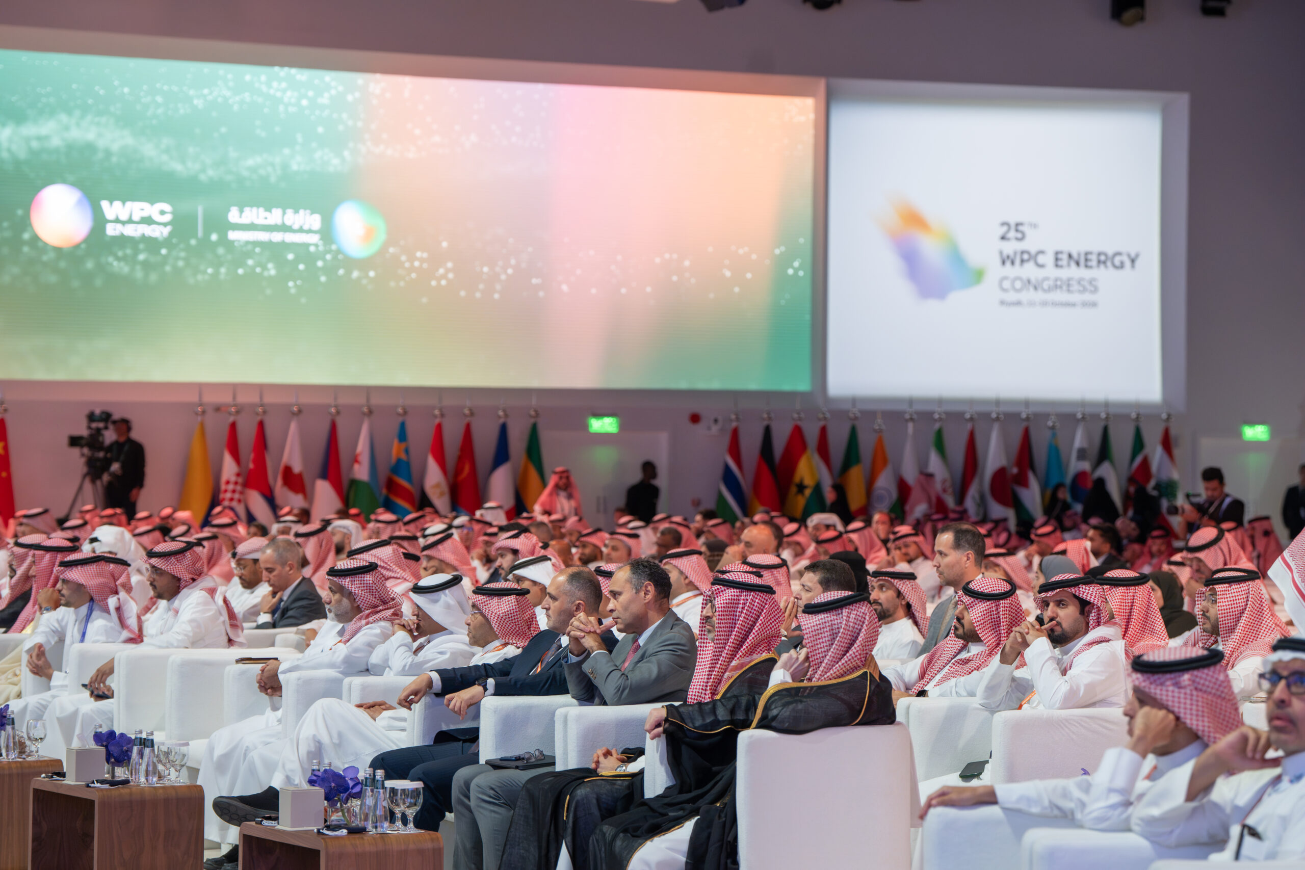 Saudi Arabia upgrading 50% of power grid as demand climbs from industry to AI