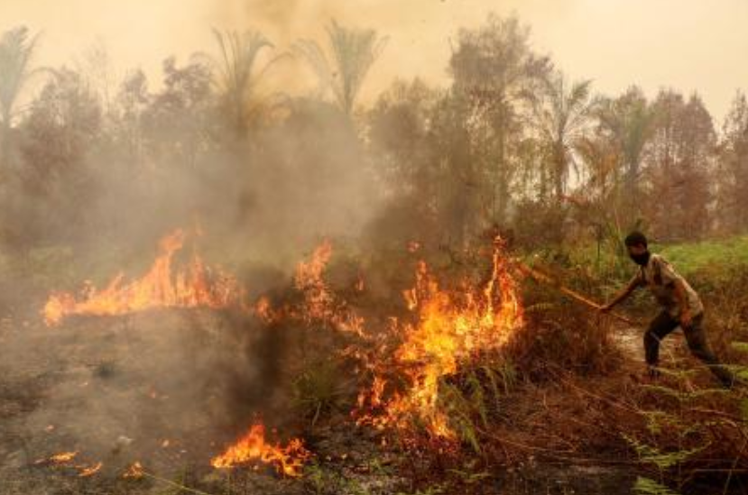 Indonesia wildfire burns homes, displaces hundreds