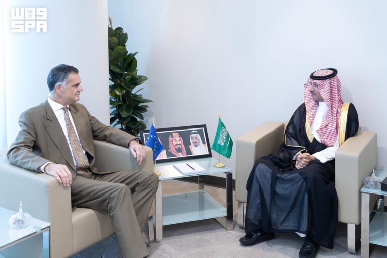 Saudi vice minister, EU envoy discuss skills development and employment cooperation