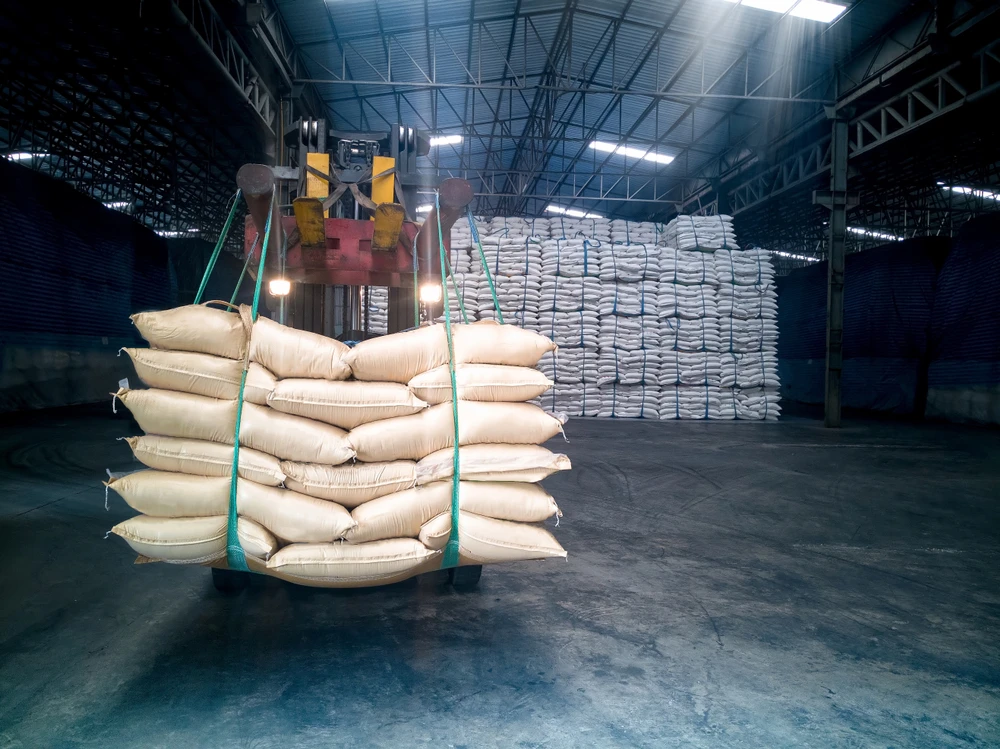 Egypt tightens wheat import requirements as Black Sea supplies shrink
