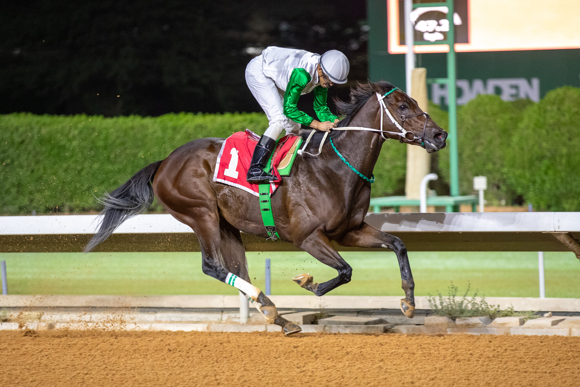 Riyadh racing returns to King Abdulaziz Racecourse