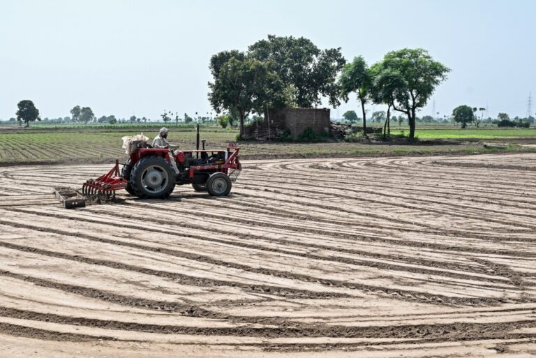 Food crisis ‘looming’ after global energy shock, UN agriculture fund says