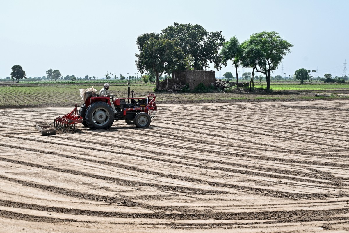 Food crisis ‘looming’ after global energy shock, UN agriculture fund says
