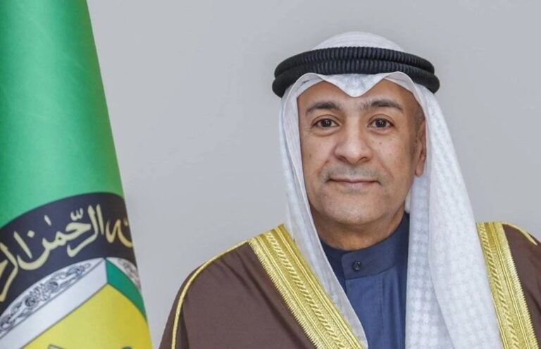 GCC chief: Houthis’ criminal behavior calls for firm international stance