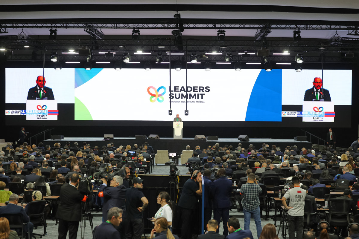 Nations meet at COP17 in Armenia in race to salvage global biodiversity targets