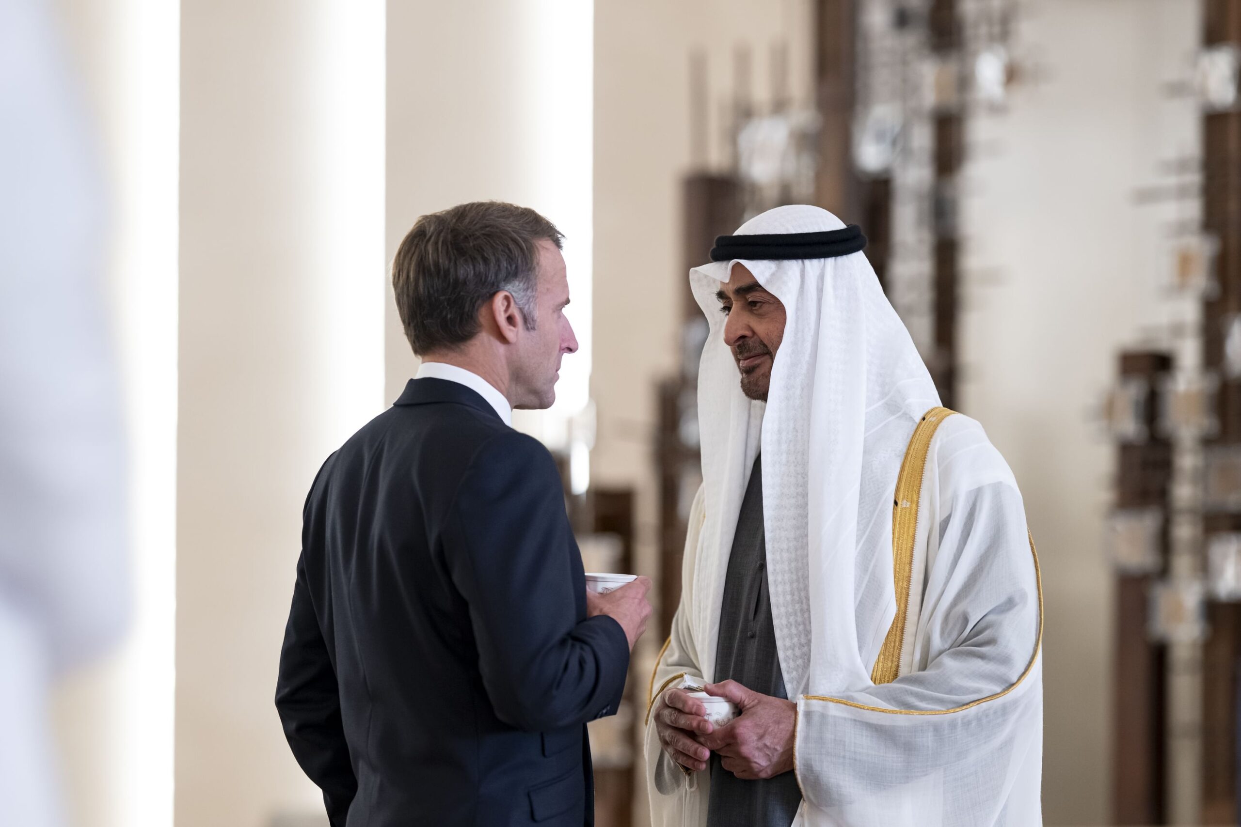 UAE, France discuss stronger coordination to protect maritime security, energy supplies