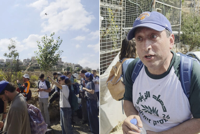 US politician and rabbi arrested for helping Palestinian farmers harvest olives in Bethlehem
