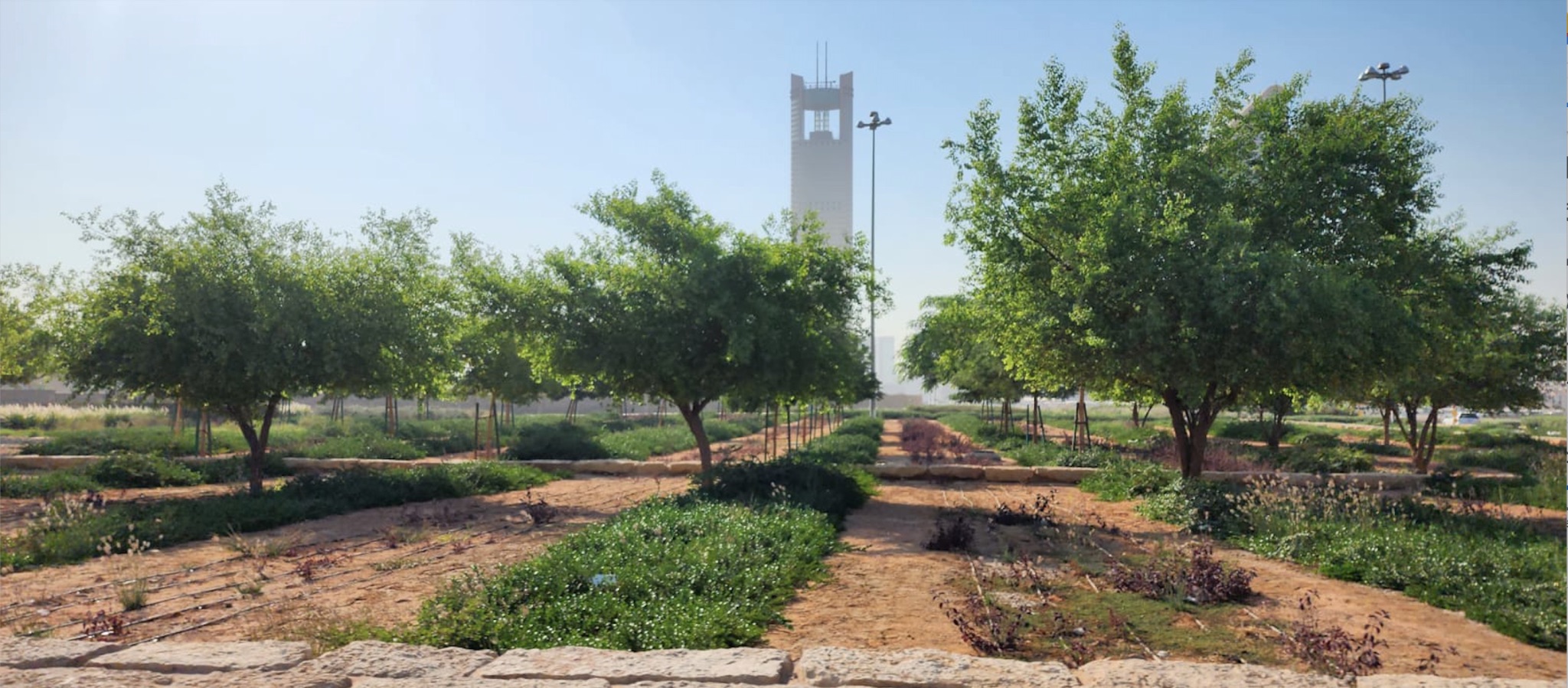 3 major Riyadh parks surpass 85% completion under Green Riyadh program