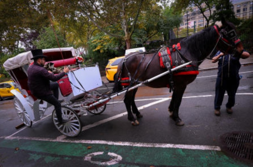 Facing a ban on horse-drawn carriages, Central Park’s drivers fear for their livelihoods