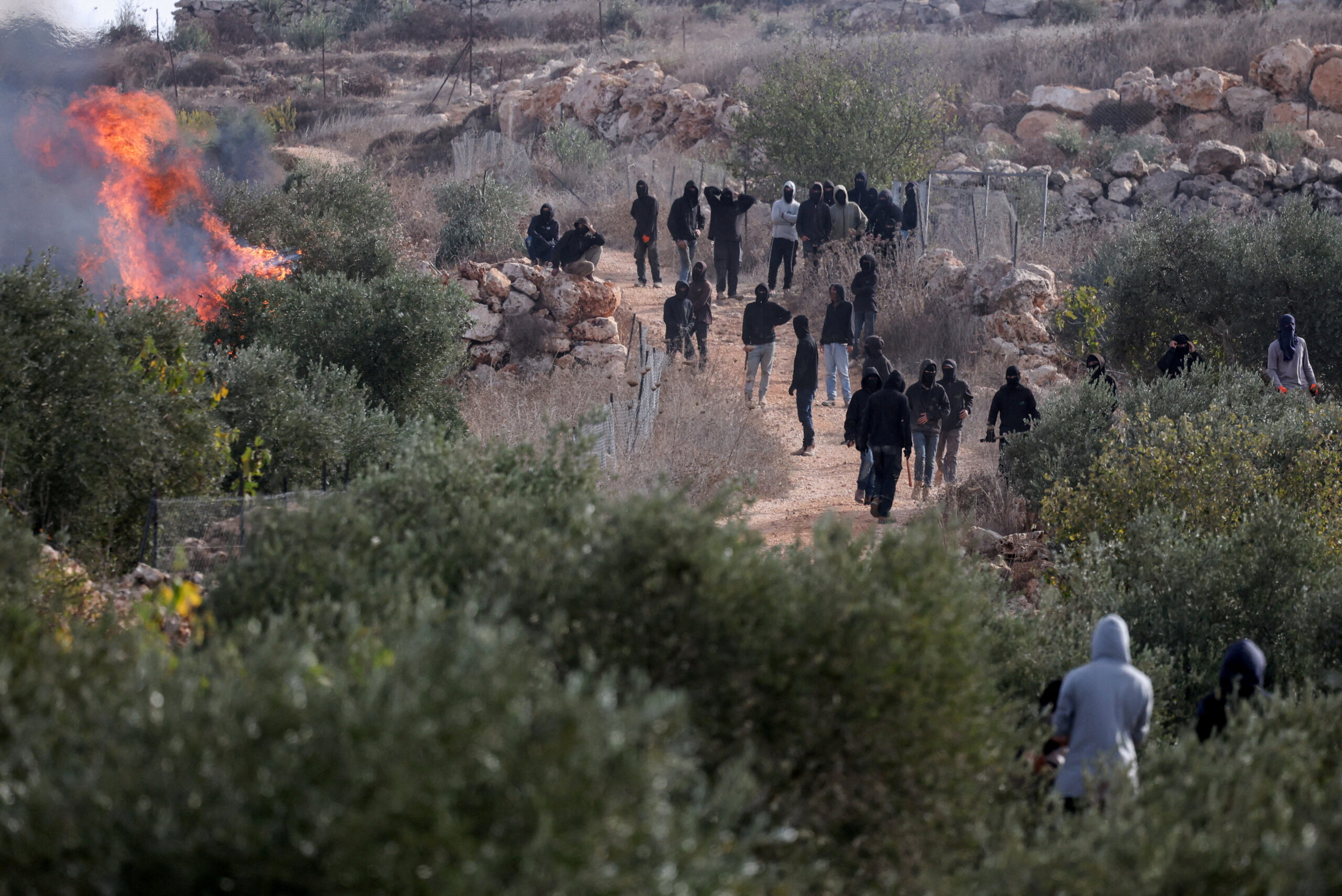 Settler violence an orchestrated onslaught against Palestinians