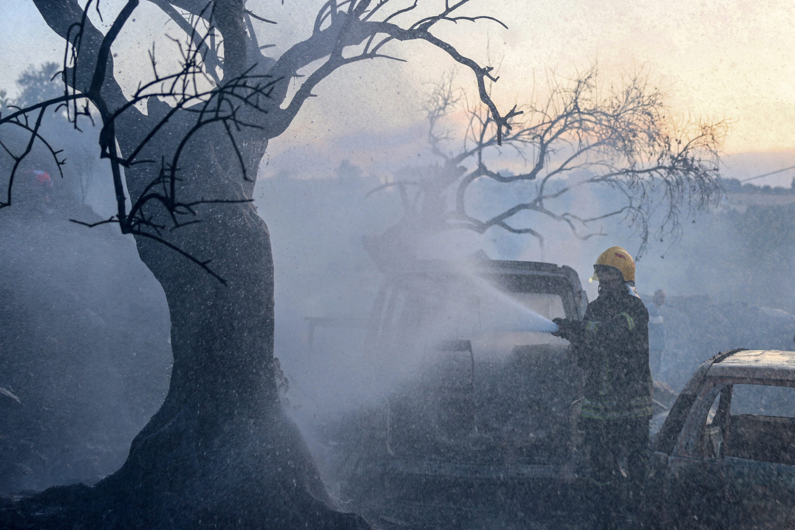Why West Bank olive harvest has become flashpoint for settler violence