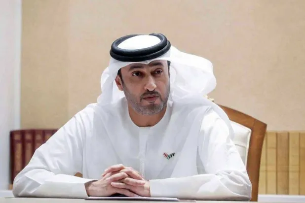UAE Forms Investigation Team to Probe Flydubai Flight Incident
