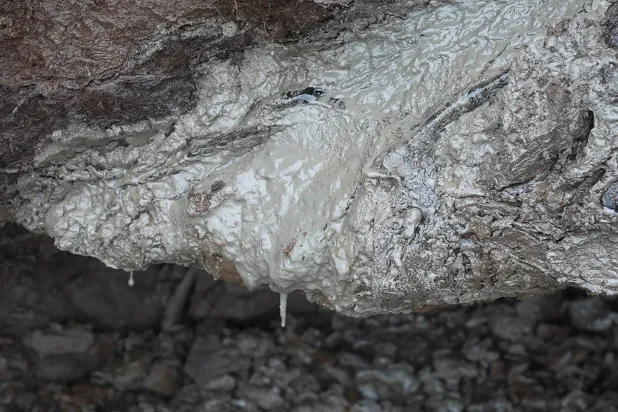 Heat-trapping Gas Once Frozen in Arctic Ground is Slowly Leaking, Warming the Planet