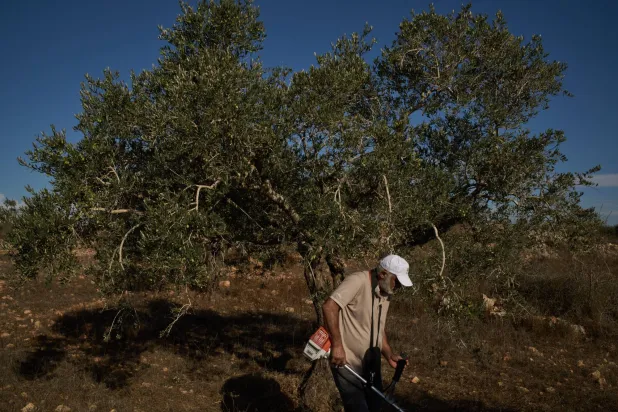 Israeli Troops Block Olive Harvest in West Bank