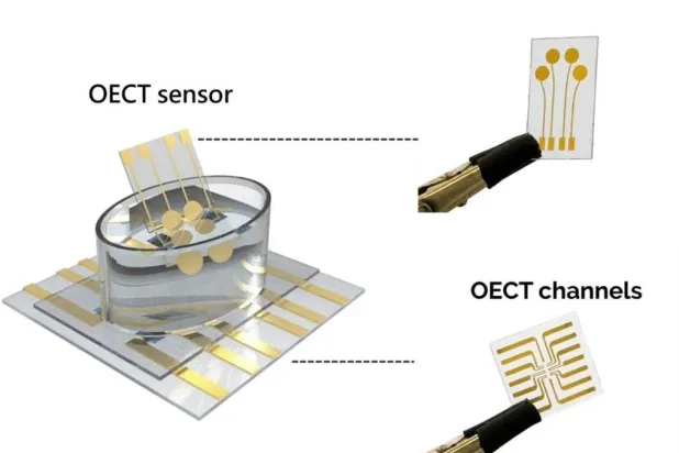 KAUST, Oxford Develop Electronic Sensor to Detect Parkinson’s Markers in Blood