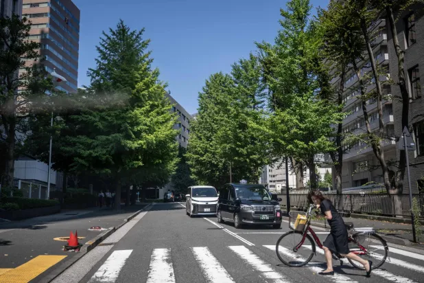 Tokyo Residents Fight for More Trees