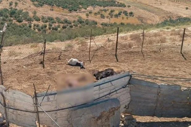 Israel Extends ‘Sufa 53’ Project in Southern Quneitra, Seizing Farmland