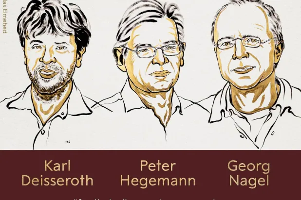 Nobel Medicine Prize Goes to 3 Scientists for Research into Brain Activity