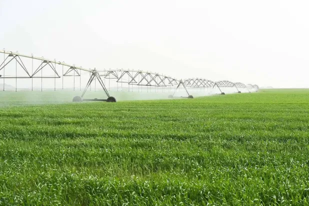 Saudi Arabia Bolsters Food Security with $798 Million for Strategic Commodities